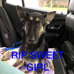 Meet your Posher, Rachael